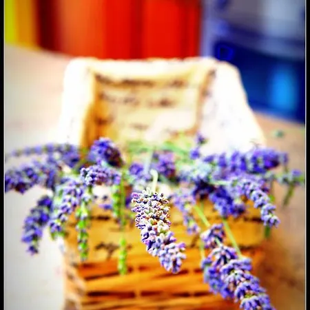 Lavender Scent Family Portoroz Dd1